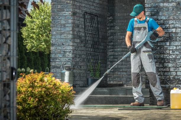 Animal Enclosure Cleaning in Vacaville, CA